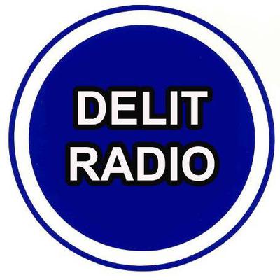 Delit logo