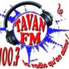 Tavan FM logo